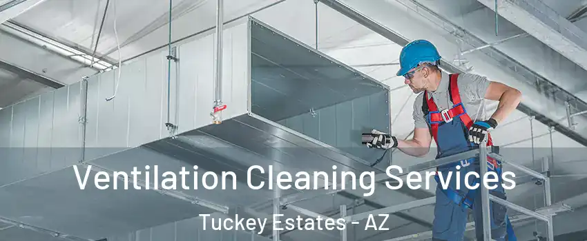 Ventilation Cleaning Services Tuckey Estates - AZ