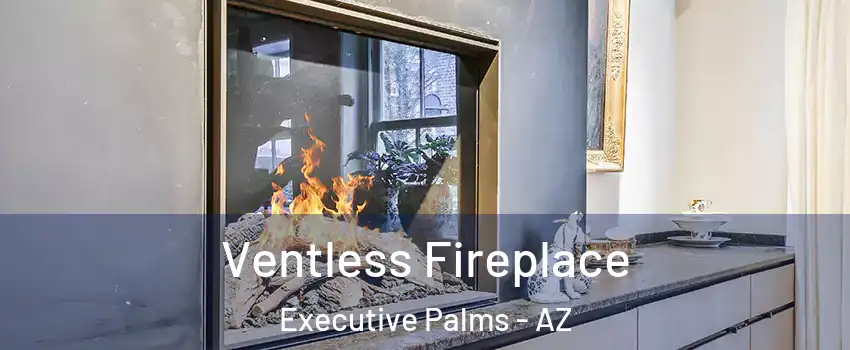 Ventless Fireplace Executive Palms - AZ