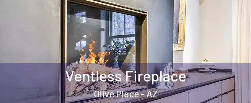 Ventless Fireplace Olive Place - AZ