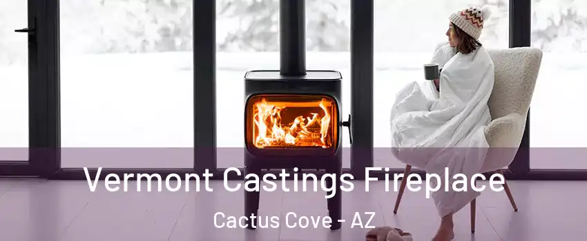 Vermont Castings Fireplace Cactus Cove - AZ