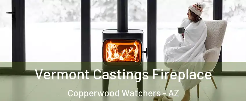 Vermont Castings Fireplace Copperwood Watchers - AZ