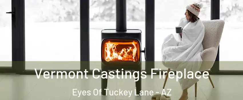 Vermont Castings Fireplace Eyes Of Tuckey Lane - AZ