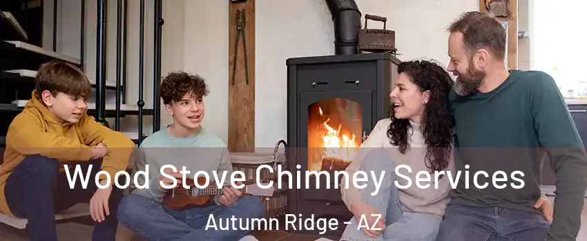 Wood Stove Chimney Services Autumn Ridge - AZ