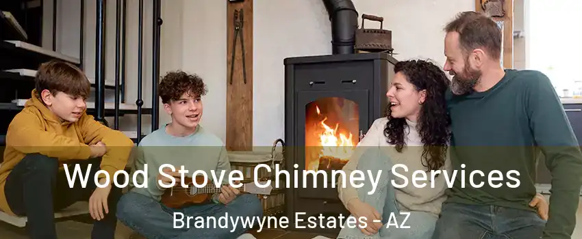 Wood Stove Chimney Services Brandywyne Estates - AZ