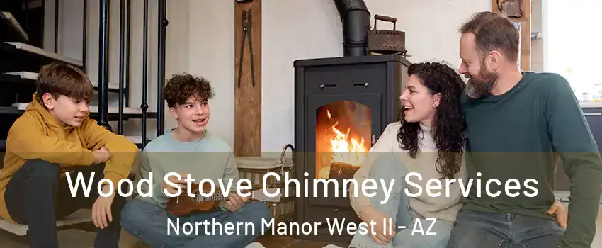 Wood Stove Chimney Services Northern Manor West II - AZ