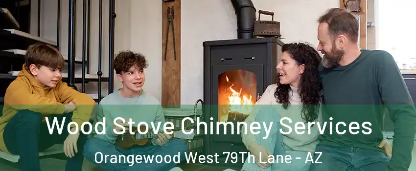Wood Stove Chimney Services Orangewood West 79Th Lane - AZ