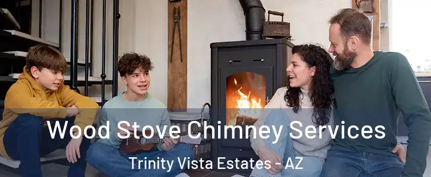 Wood Stove Chimney Services Trinity Vista Estates - AZ