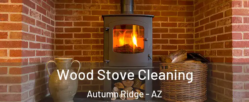 Wood Stove Cleaning Autumn Ridge - AZ