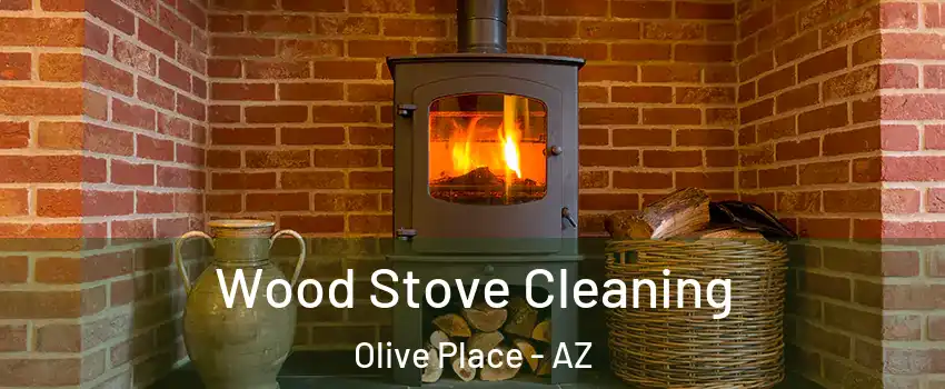 Wood Stove Cleaning Olive Place - AZ