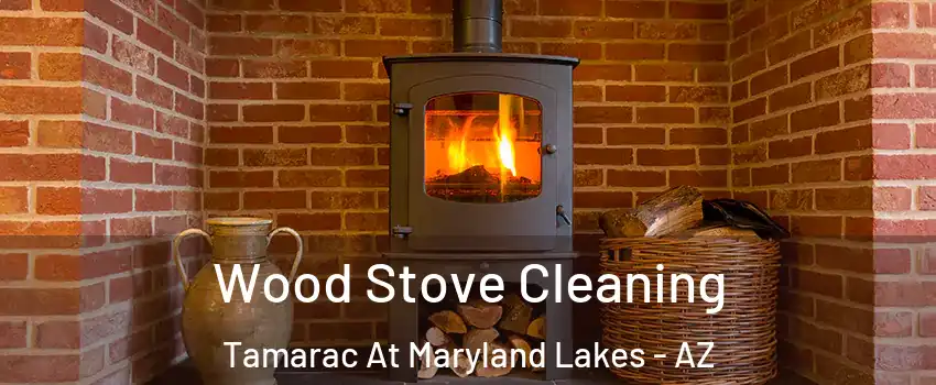 Wood Stove Cleaning Tamarac At Maryland Lakes - AZ