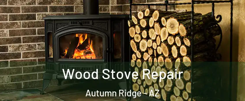 Wood Stove Repair Autumn Ridge - AZ